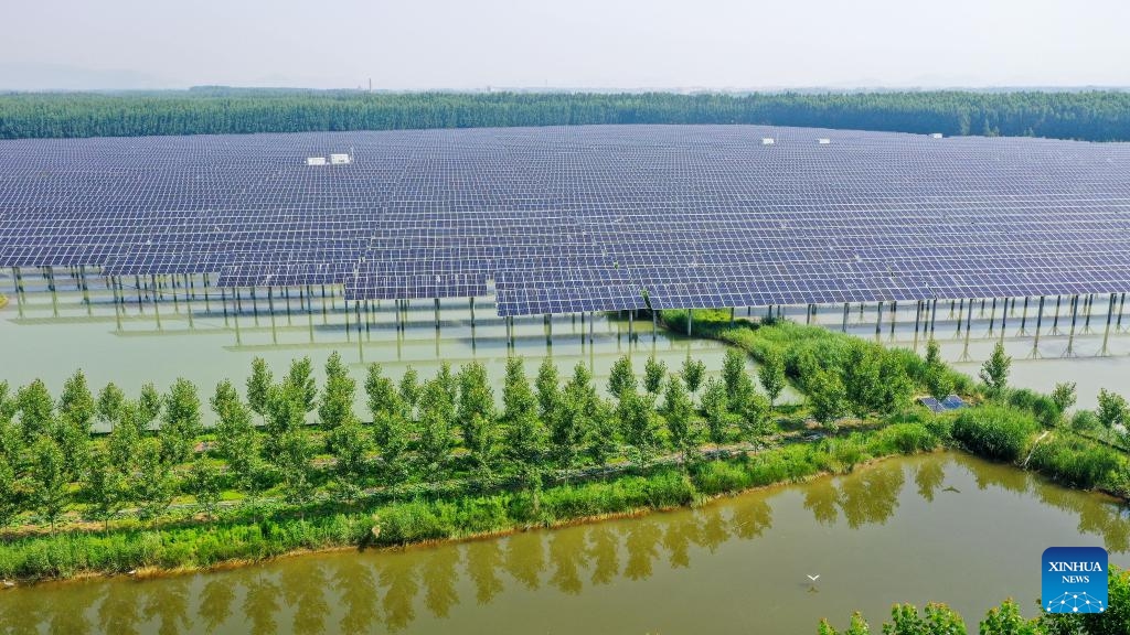 Granja fotovoltaica-acuícola en un área de subsidencia minera en la ciudad de Binhu, en Tengzhou, provincia de Shandong, 2 de junio del 2026 (Foto: Xinhua)