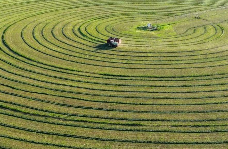 China trata más de 10 millones de hectáreas de tierras desertificadas en cinco años y aspira a restaurar 6,7 millones más para 2030