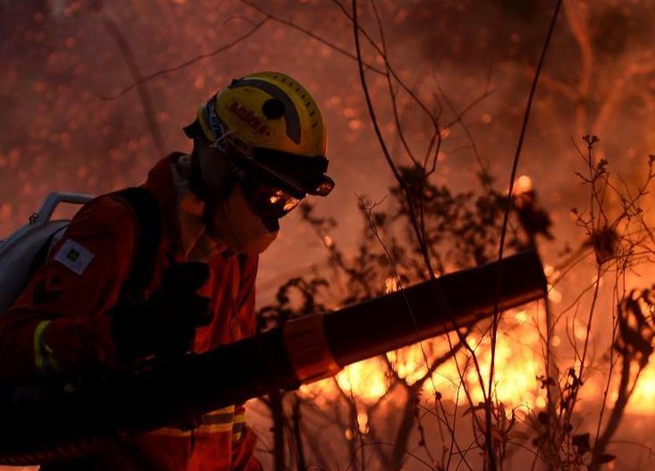 Brasil reduce 58% área quemada por incendios en 2025