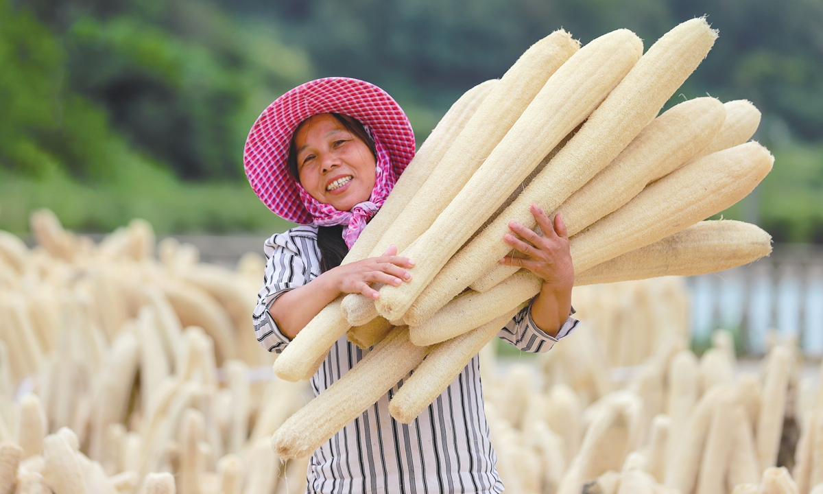 Un agricultor seca esponjas vegetales (luffas) recién cosechadas en el municipio de Fulong, Jiujiang, provincia de Jiangxi. (Foto: VCG)