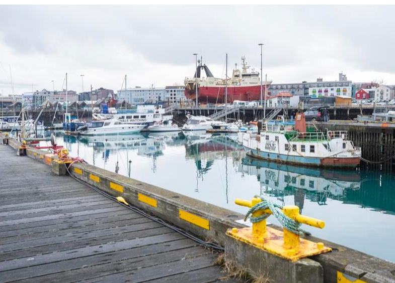 Islandia comienza referéndum sobre si reanudar negociaciones de adhesión a UE