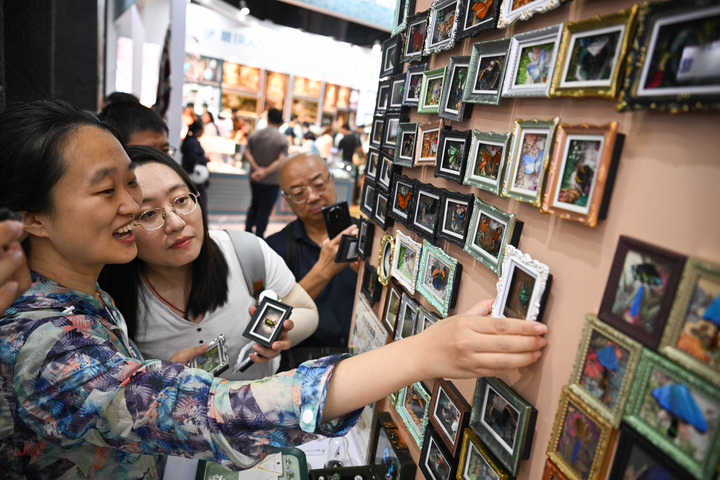 Visitantes observan productos culturales y creativos elaborados con especímenes de insectos procedentes de Perú en la Feria Internacional de Comercio de Servicios de China 2026 (CIFTIS, por sus siglas en inglés), en el Parque Shougang, en Beijing, la capital nacional, el 12 de septiembre de 2026. La CIFTIS abrió al público en general del 12 al 13 de septiembre. (Xinhua/Zheng Huansong)