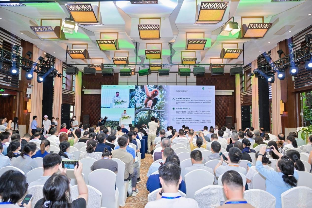 Se presentan los resultados de cinco años de construcción del Parque Nacional de la Selva Tropical de Hainan: la población de gibones de Hainan se recupera hasta alcanzar 7 grupos y 44 ejemplares