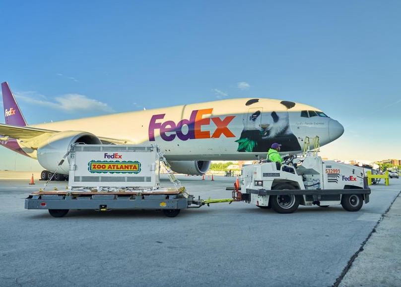 Dos pandas gigantes chinos llegan a la ciudad estadounidense de Atlanta