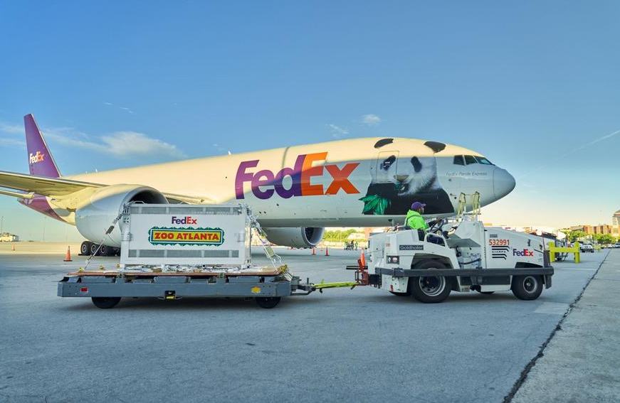 Dos pandas gigantes chinos llegan a la ciudad estadounidense de Atlanta