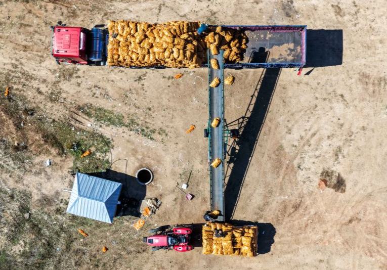 China alcanza una producción récord de cereales y refuerza las medidas contra la pobreza