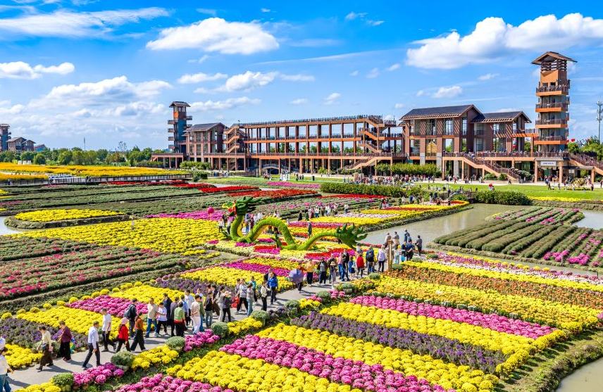 Gran número de visitantes acude a zonas rurales de toda China durante vacaciones del Día Nacional
