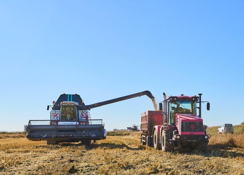 Líderes bálticos piden a UE que prohíba el tránsito de grano ruso