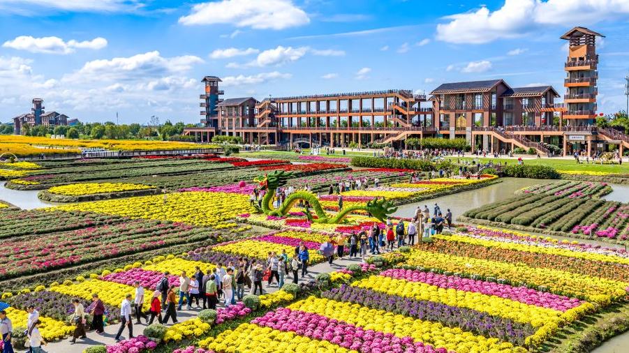 Gran número de visitantes acude a zonas rurales de toda China durante vacaciones del Día Nacional