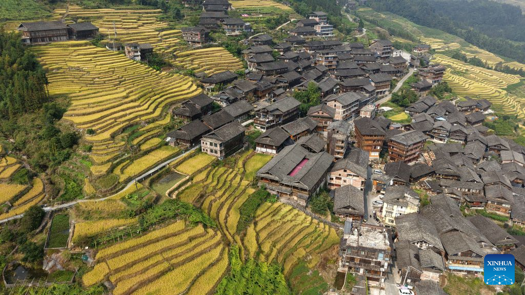 Guangxi: Turistas visitan campos en terrazas de Longji
