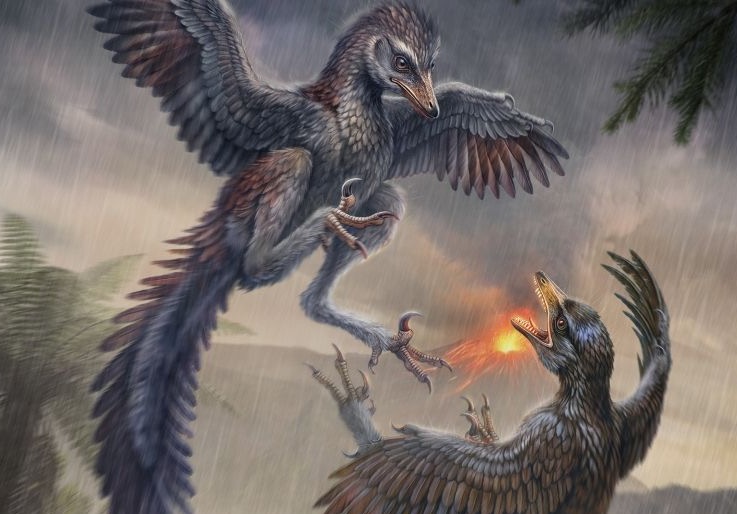 Fósil del Jurásico descubierto en China lleva a replantear hipótesis sobre aves
