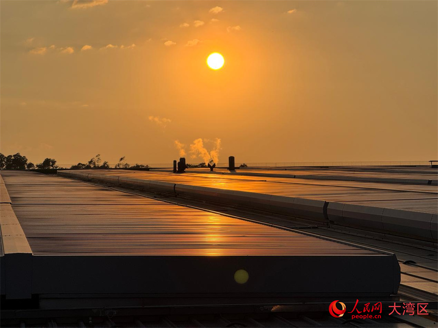 Shenzhen, una ventana al futuro | Una ciudad hacia un futuro de cero emisiones de carbono