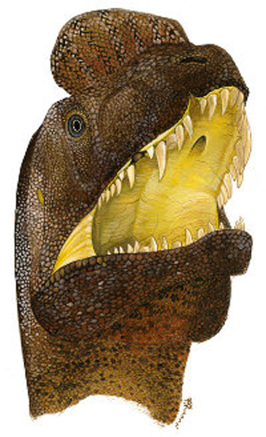 Científicos concluyen que un dinosaurio contrajo una enfermedad de las encías